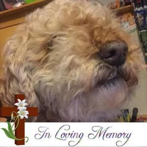 Meet your Posher, Katrina